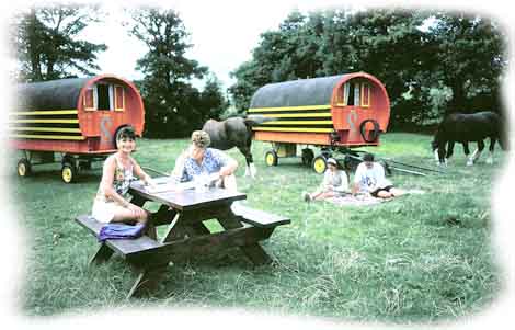 Picnic with Irish Horse Drawn Caravans in the background. 