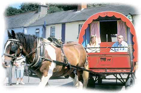 Sitting pretty in an Irish Horse Drawn Caravan