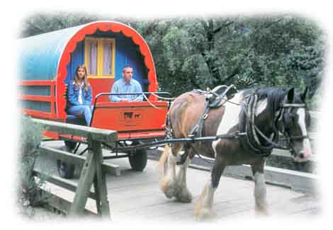 Crossing a bridge - somewhere in Ireland!