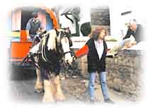 Map reading Irish style.